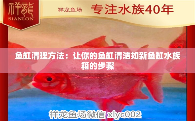 鱼缸清理方法：让你的鱼缸清洁如新鱼缸水族箱的步骤