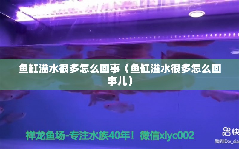 鱼缸溢水很多怎么回事（鱼缸溢水很多怎么回事儿） 祥龙水族医院