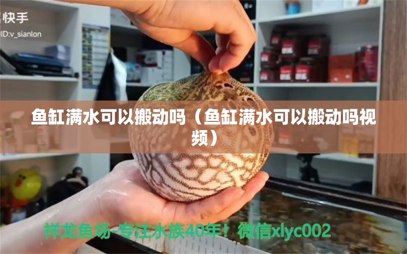 鱼缸满水可以搬动吗（鱼缸满水可以搬动吗视频） 其他品牌鱼缸