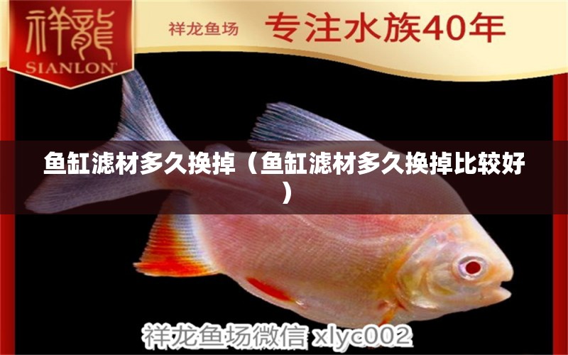 鱼缸滤材多久换掉（鱼缸滤材多久换掉比较好） 祥龙水族医院