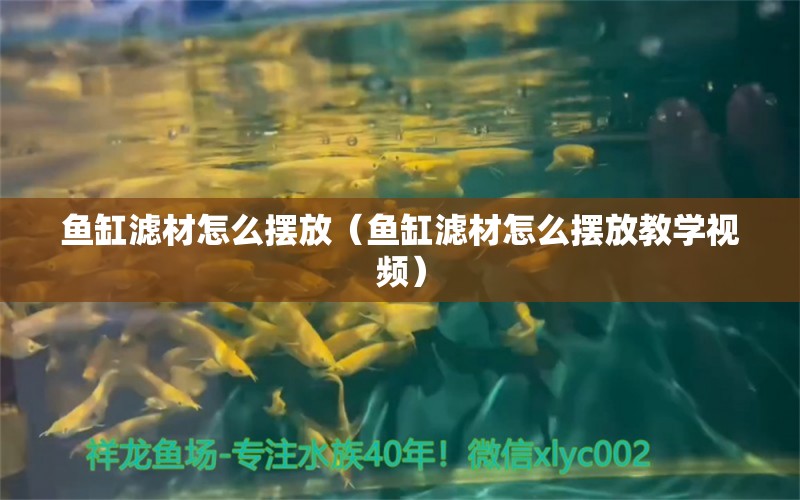 鱼缸滤材怎么摆放（鱼缸滤材怎么摆放教学视频） 量子养鱼技术