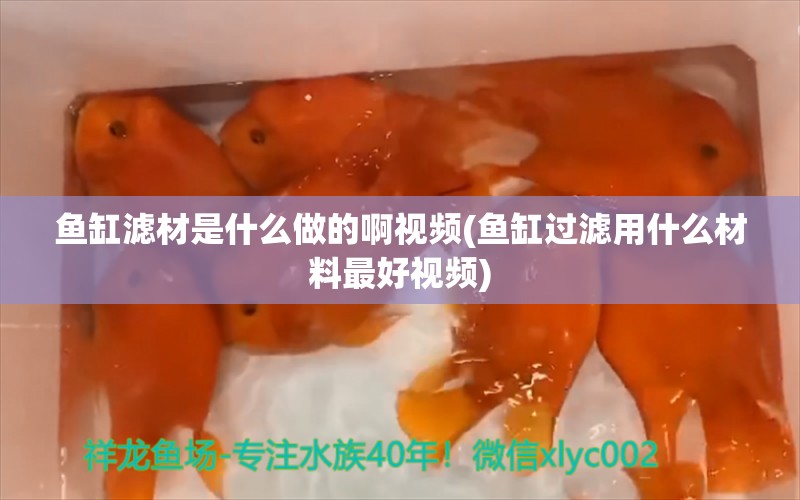 鱼缸滤材是什么做的啊视频(鱼缸过滤用什么材料最好视频) 水温计