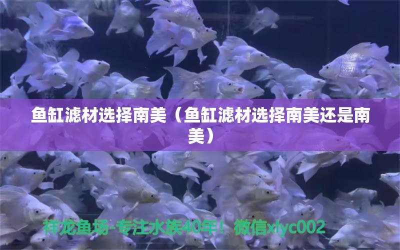 鱼缸滤材选择南美（鱼缸滤材选择南美还是南美）