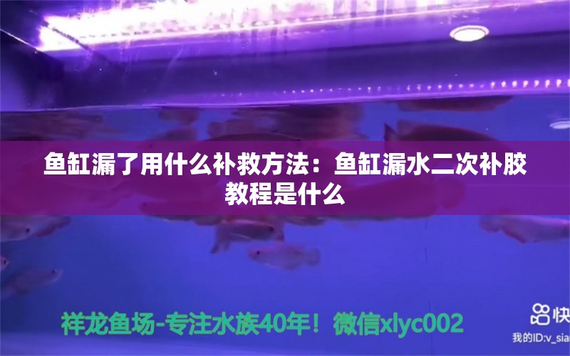 鱼缸漏了用什么补救方法：鱼缸漏水二次补胶教程是什么