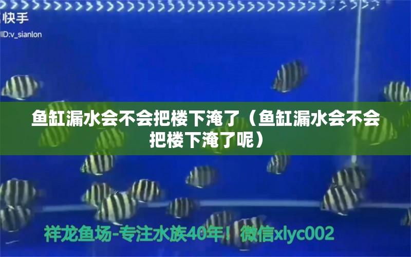 鱼缸漏水会不会把楼下淹了（鱼缸漏水会不会把楼下淹了呢）