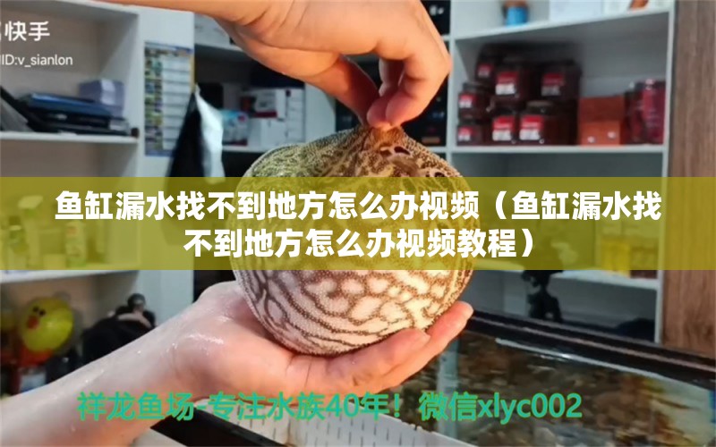 鱼缸漏水找不到地方怎么办视频（鱼缸漏水找不到地方怎么办视频教程）