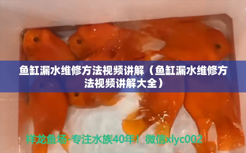 鱼缸漏水维修方法视频讲解（鱼缸漏水维修方法视频讲解大全）