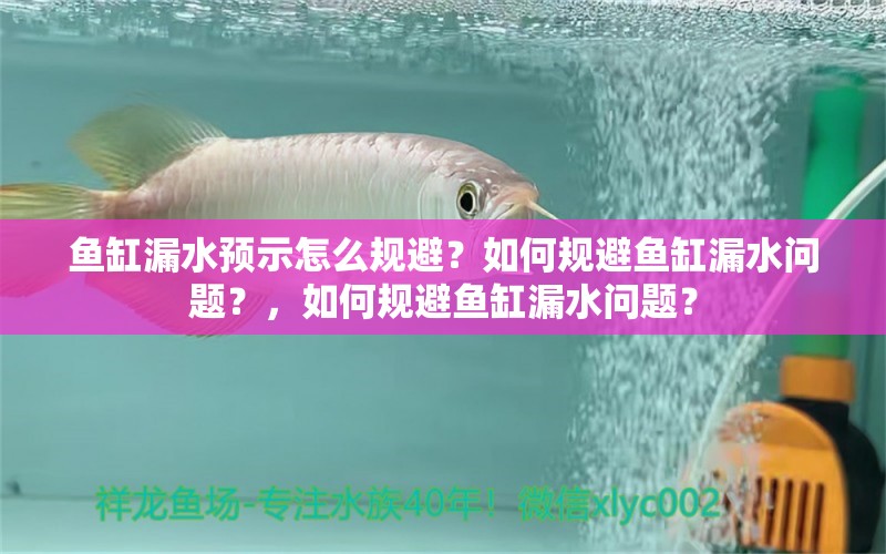 鱼缸漏水预示怎么规避？如何规避鱼缸漏水问题？，如何规避鱼缸漏水问题？