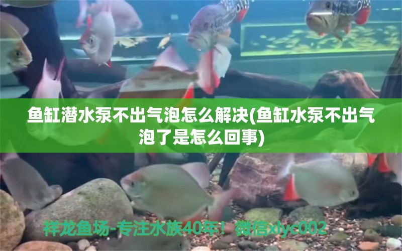 鱼缸潜水泵不出气泡怎么解决(鱼缸水泵不出气泡了是怎么回事) 鱼缸水泵