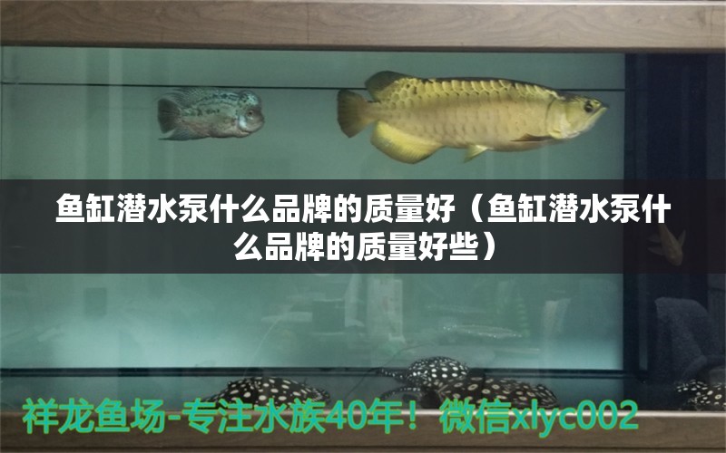 鱼缸潜水泵什么品牌的质量好（鱼缸潜水泵什么品牌的质量好些）