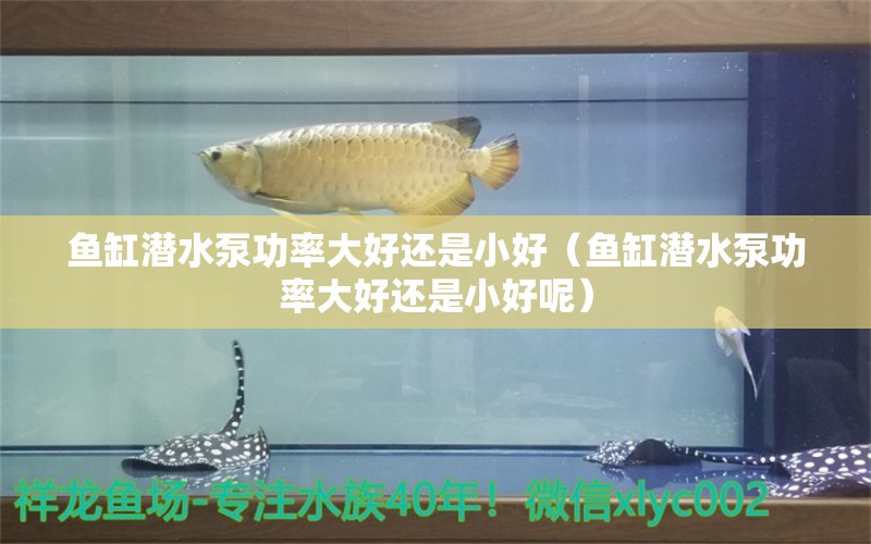 鱼缸潜水泵功率大好还是小好（鱼缸潜水泵功率大好还是小好呢）