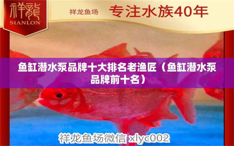 鱼缸潜水泵品牌十大排名老渔匠（鱼缸潜水泵品牌前十名） 祥龙水族医院