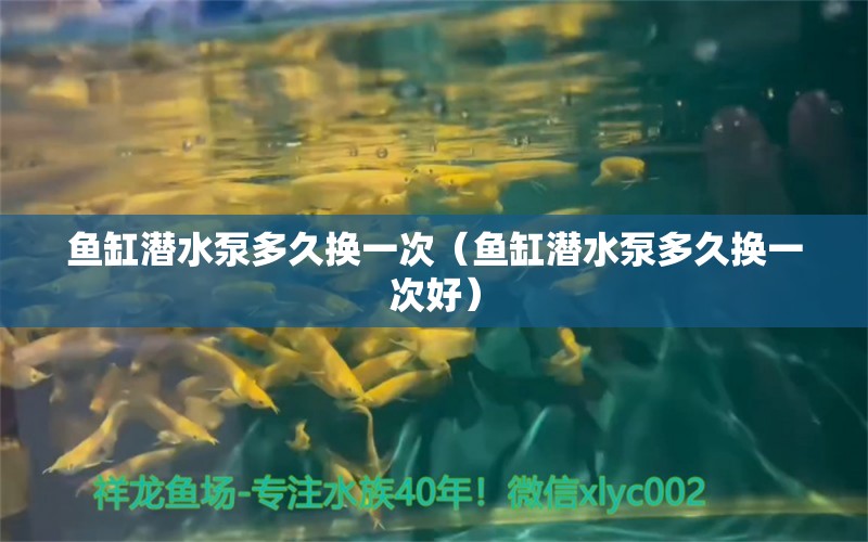 鱼缸潜水泵多久换一次（鱼缸潜水泵多久换一次好） 祥龙水族滤材/器材