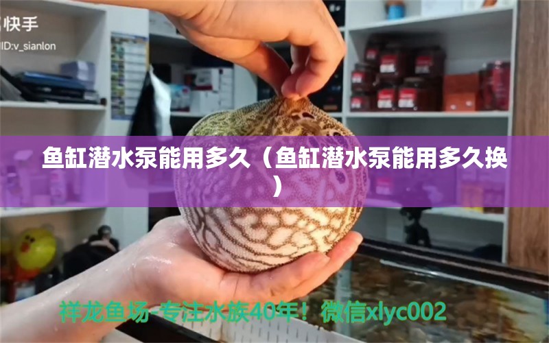 鱼缸潜水泵能用多久（鱼缸潜水泵能用多久换）