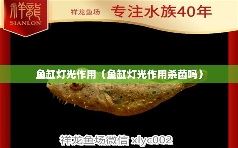 鱼缸灯光作用（鱼缸灯光作用杀菌吗） 祥龙水族医院