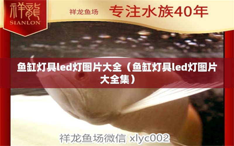 鱼缸灯具led灯图片大全（鱼缸灯具led灯图片大全集）