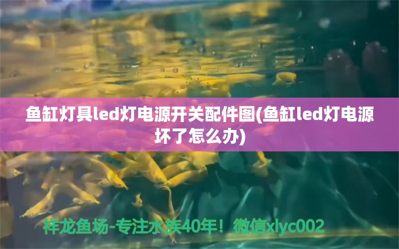 鱼缸灯具led灯电源开关配件图(鱼缸led灯电源坏了怎么办) 虎鱼百科