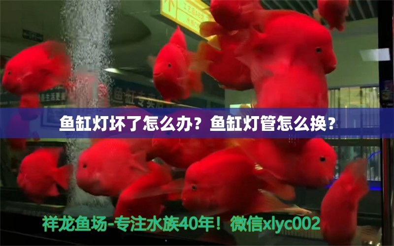 鱼缸灯坏了怎么办？鱼缸灯管怎么换？