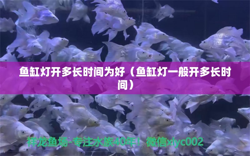 鱼缸灯开多长时间为好（鱼缸灯一般开多长时间） 观赏鱼批发