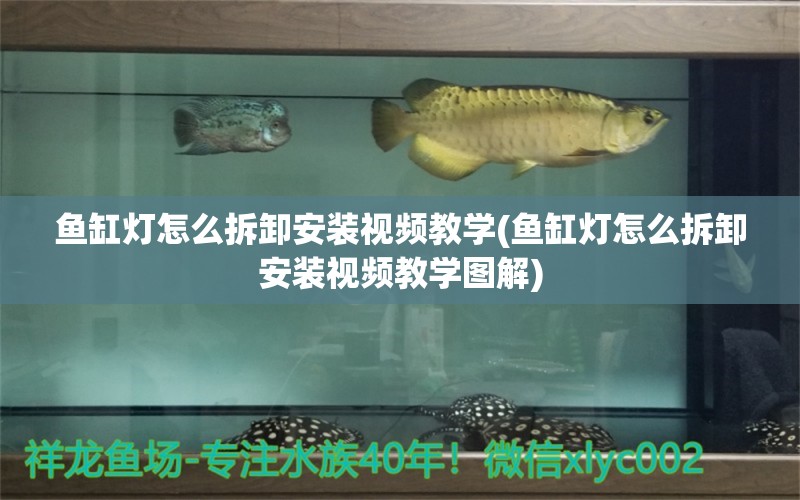 鱼缸灯怎么拆卸安装视频教学(鱼缸灯怎么拆卸安装视频教学图解)