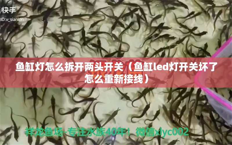 鱼缸灯怎么拆开两头开关（鱼缸led灯开关坏了怎么重新接线） 广州观赏鱼批发市场