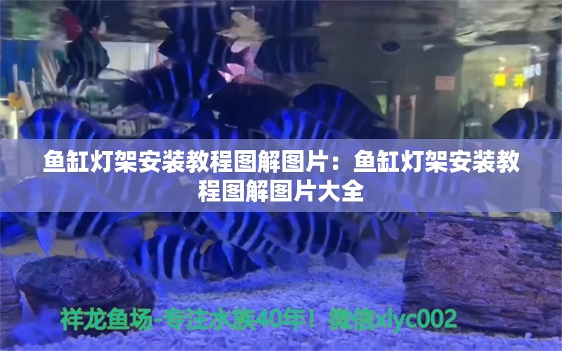 鱼缸灯架安装教程图解图片：鱼缸灯架安装教程图解图片大全