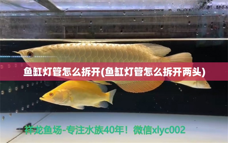 鱼缸灯管怎么拆开(鱼缸灯管怎么拆开两头)