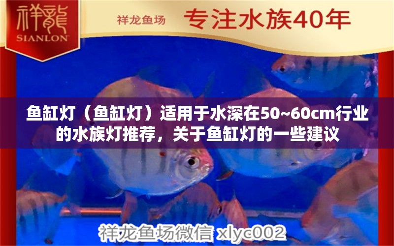 鱼缸灯（鱼缸灯）适用于水深在50~60cm行业的水族灯推荐，关于鱼缸灯的一些建议