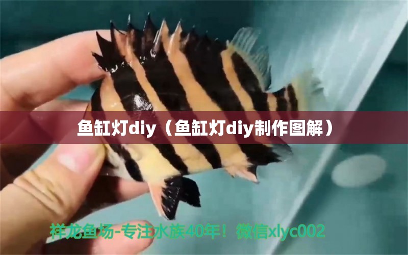 鱼缸灯diy（鱼缸灯diy制作图解） 祥龙水族医院