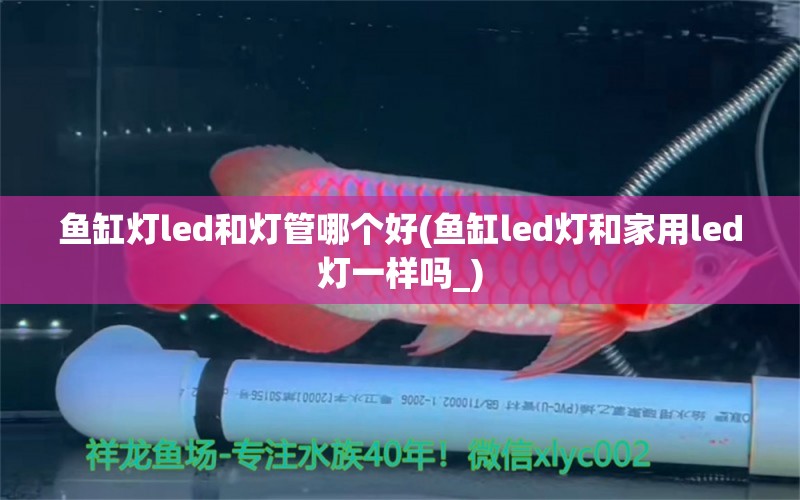 鱼缸灯led和灯管哪个好(鱼缸led灯和家用led灯一样吗_)