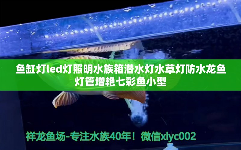 鱼缸灯led灯照明水族箱潜水灯水草灯防水龙鱼灯管增艳七彩鱼小型