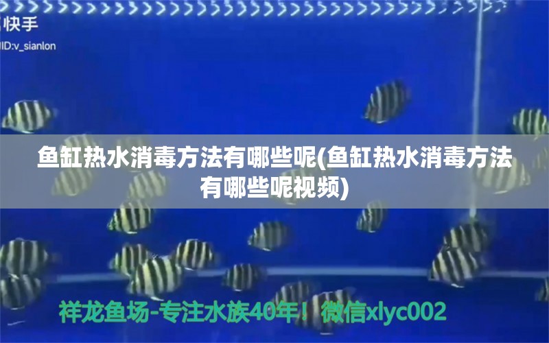 鱼缸热水消毒方法有哪些呢(鱼缸热水消毒方法有哪些呢视频) 水族世界