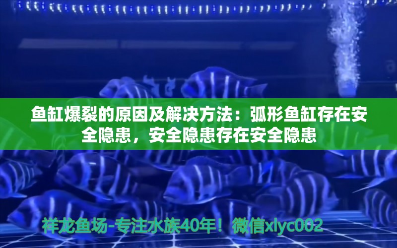 鱼缸爆裂的原因及解决方法：弧形鱼缸存在安全隐患，安全隐患存在安全隐患