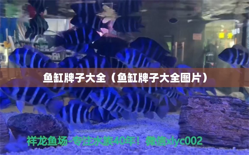 鱼缸牌子大全（鱼缸牌子大全图片）