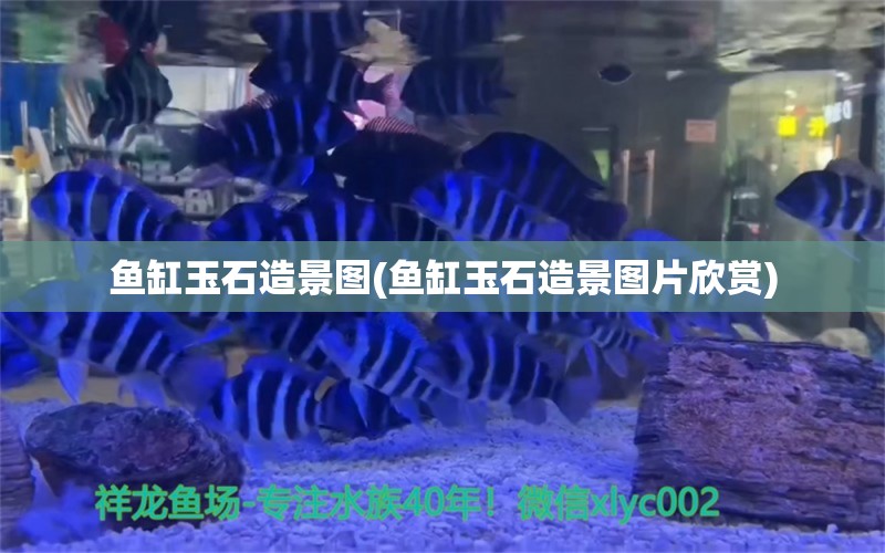 鱼缸玉石造景图(鱼缸玉石造景图片欣赏)