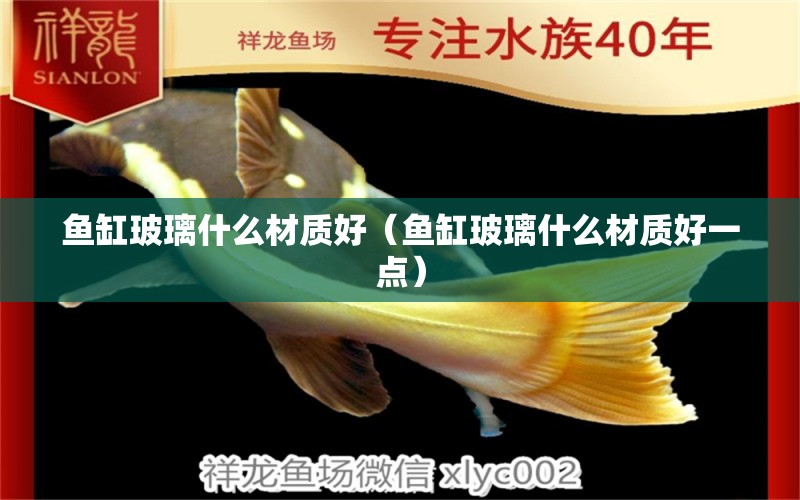 鱼缸玻璃什么材质好（鱼缸玻璃什么材质好一点） 祥龙水族医院