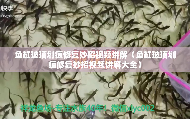 鱼缸玻璃划痕修复妙招视频讲解（鱼缸玻璃划痕修复妙招视频讲解大全）