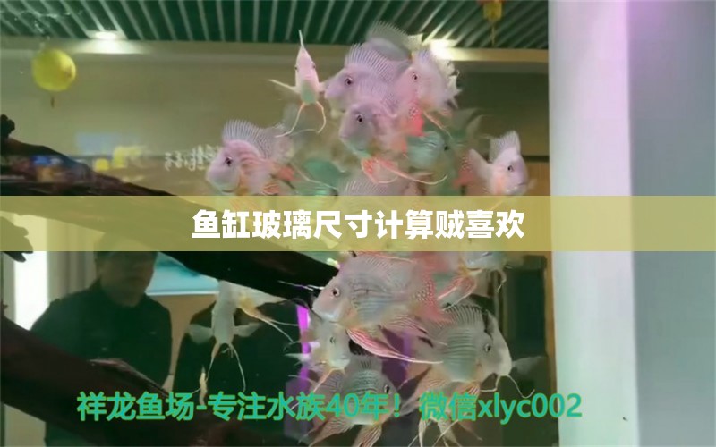 鱼缸玻璃尺寸计算贼喜欢 祥龙鱼场