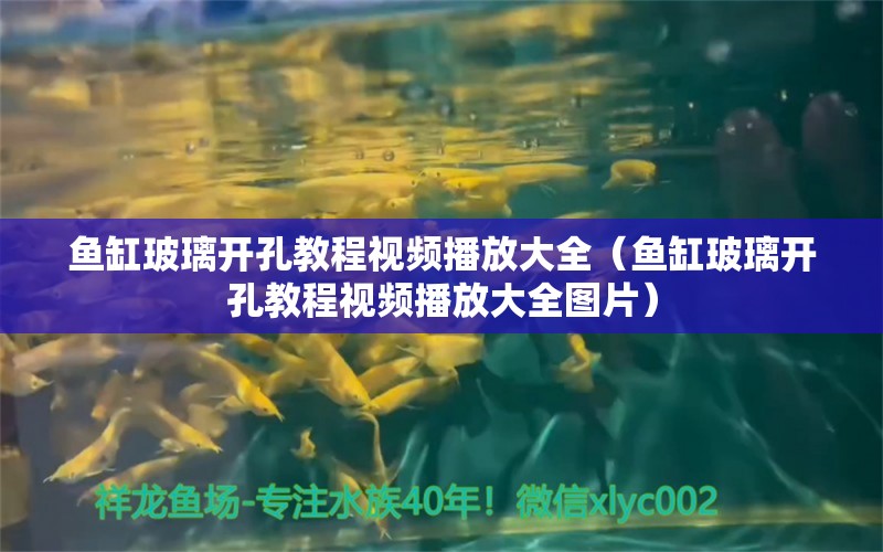 鱼缸玻璃开孔教程视频播放大全（鱼缸玻璃开孔教程视频播放大全图片）