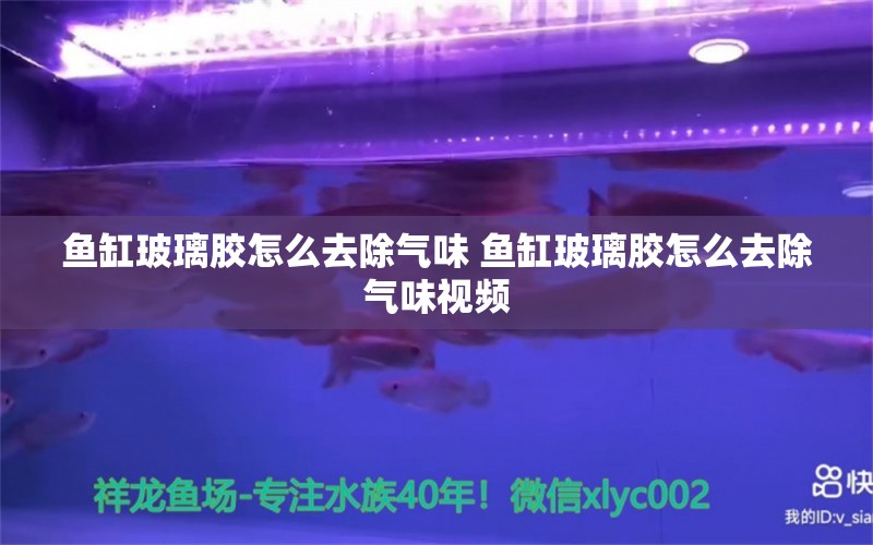 鱼缸玻璃胶怎么去除气味 鱼缸玻璃胶怎么去除气味视频