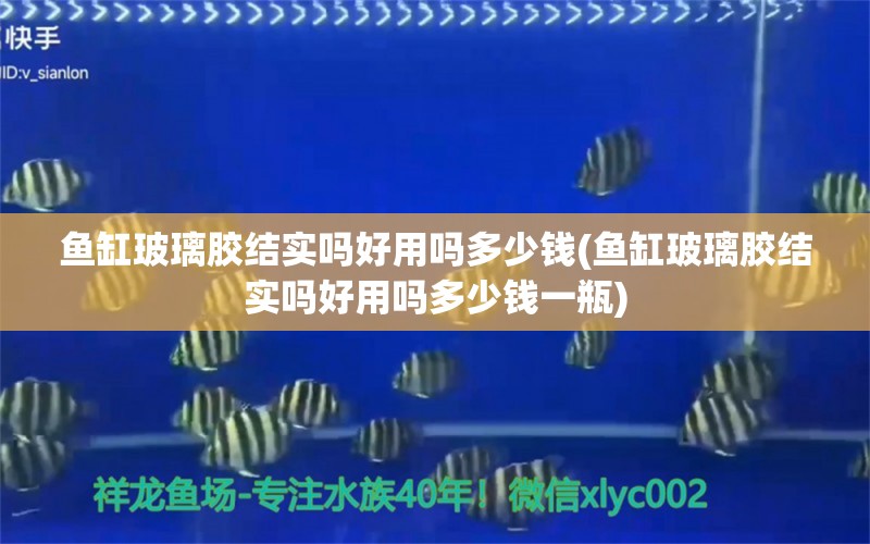 鱼缸玻璃胶结实吗好用吗多少钱(鱼缸玻璃胶结实吗好用吗多少钱一瓶)