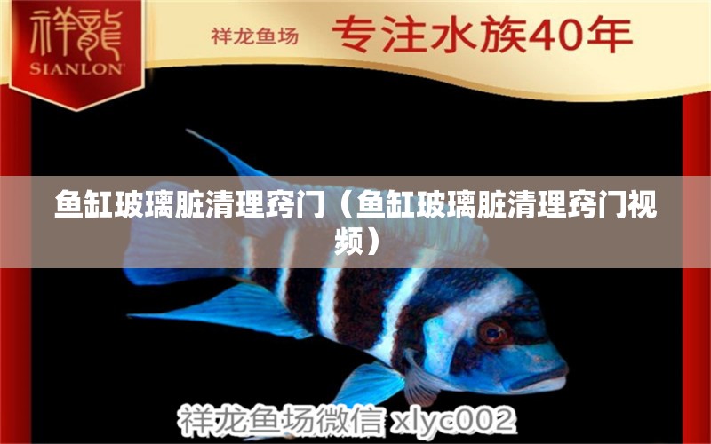 鱼缸玻璃脏清理窍门（鱼缸玻璃脏清理窍门视频） 祥龙水族医院