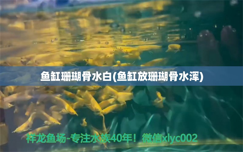 鱼缸珊瑚骨水白(鱼缸放珊瑚骨水浑)