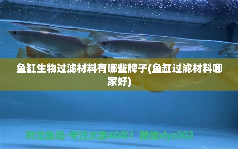 鱼缸生物过滤材料有哪些牌子(鱼缸过滤材料哪家好)