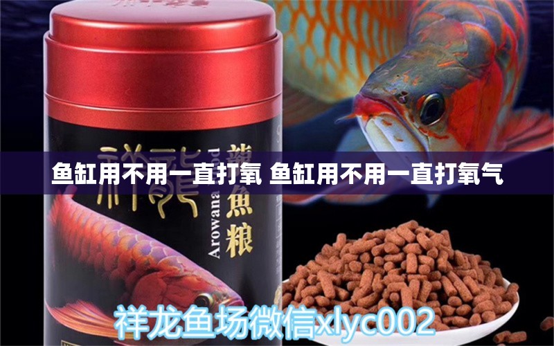 鱼缸用不用一直打氧 鱼缸用不用一直打氧气