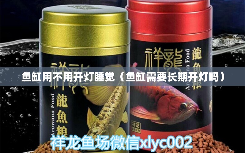 鱼缸用不用开灯睡觉（鱼缸需要长期开灯吗） 其他品牌鱼缸 第1张