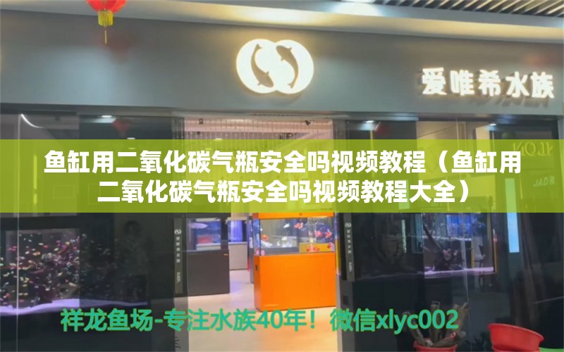 鱼缸用二氧化碳气瓶安全吗视频教程（鱼缸用二氧化碳气瓶安全吗视频教程大全） 二氧化碳设备