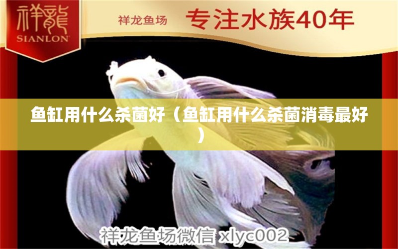 鱼缸用什么杀菌好（鱼缸用什么杀菌消毒最好） 祥龙水族医院