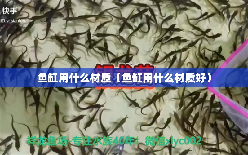 鱼缸用什么材质（鱼缸用什么材质好） 粗线银版鱼