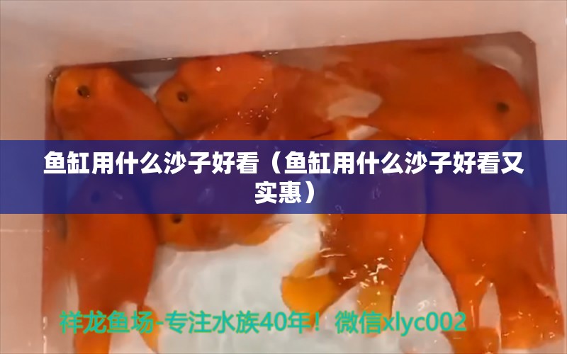 鱼缸用什么沙子好看（鱼缸用什么沙子好看又实惠）